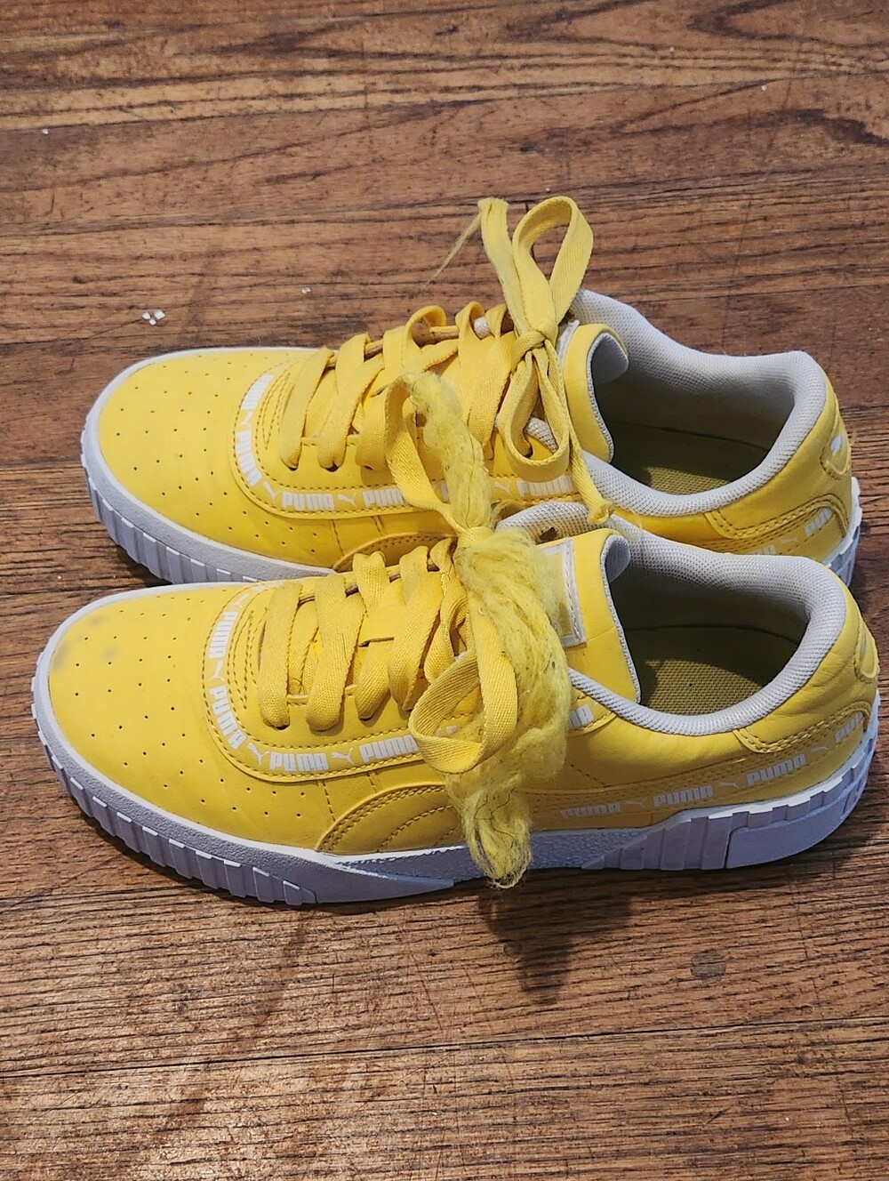 Puma - Picture 5 of 7